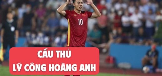Tiểu sử cầu thủ Lý Công Hoàng Anh quê ở đâu, cao bao nhiêu?